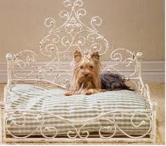 <b>Luxury Dog Beds</b>
