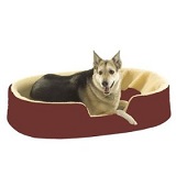 The Kong Dog Bed