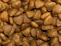 Pick the Dry Cat Food to Go Along With Your Cats Nine Lives
