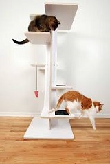 The Cat Tree a Perfect Playground for Your Furry Friend