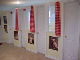 What to look for at a day care center or boarding kennel