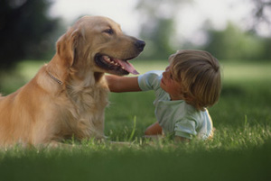 Choosing The Right Pet For Your Children