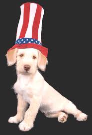 Protect your pets on the 4th