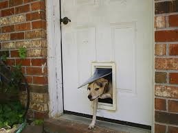 Using a doggy door