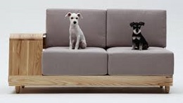 Dog furniture - The New Trend in Pet Care