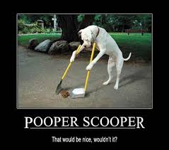 Poop Scoop laws