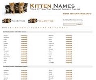 The Process of Picking Cat Names