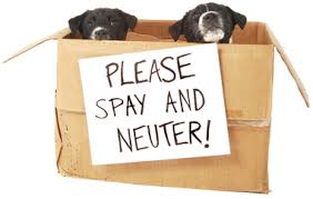 Spay and Neuter your pets